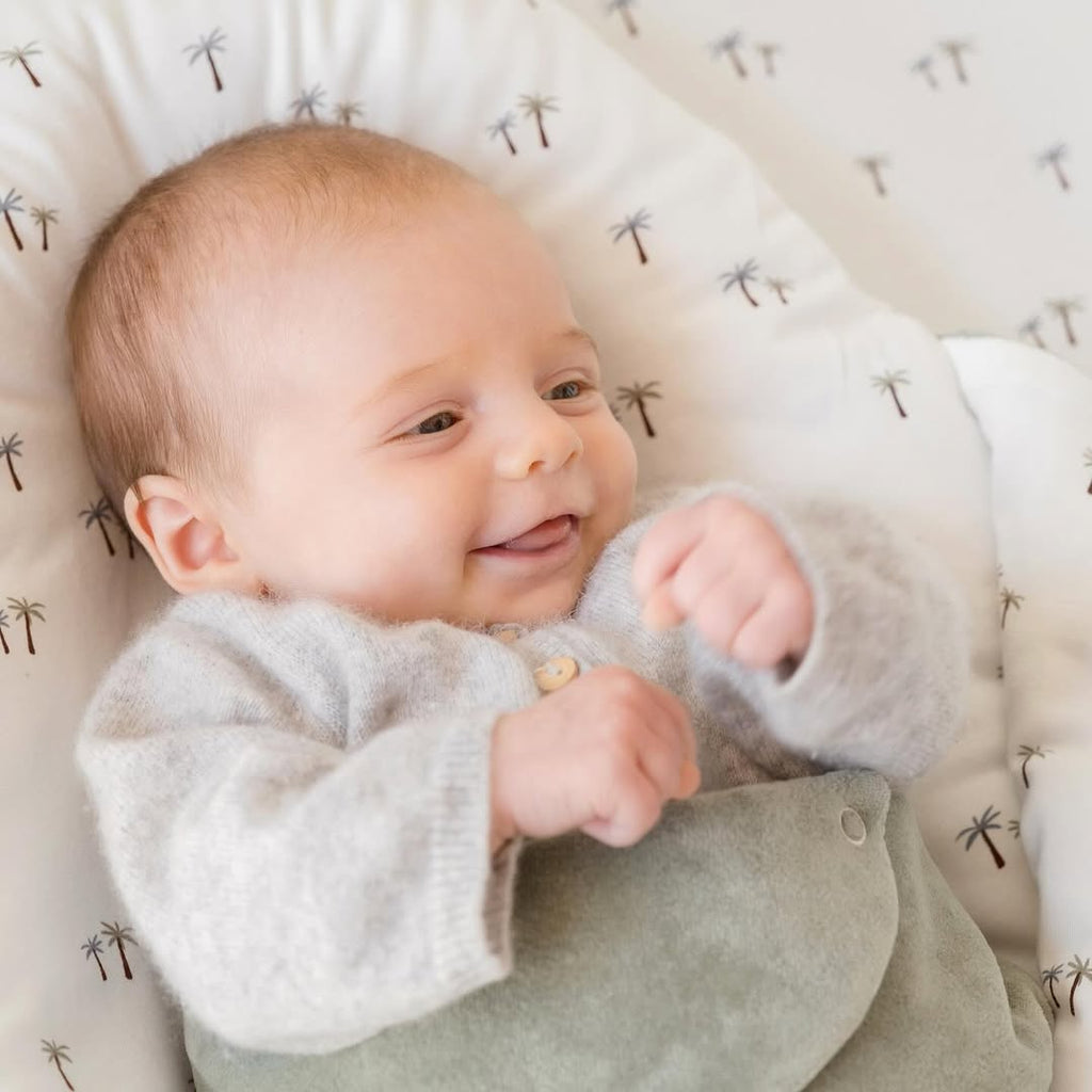 Welke verschillende slaapstoornissen komen vaak voor bij baby's? Hoe kunt u deze stoornissen aanpakken of voorkomen?