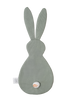 Grrr Le Dino