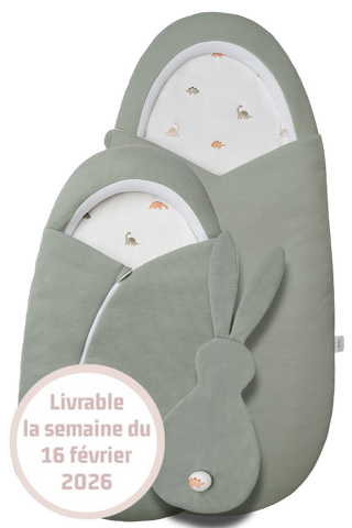 Le Pack Grrr Le Dino