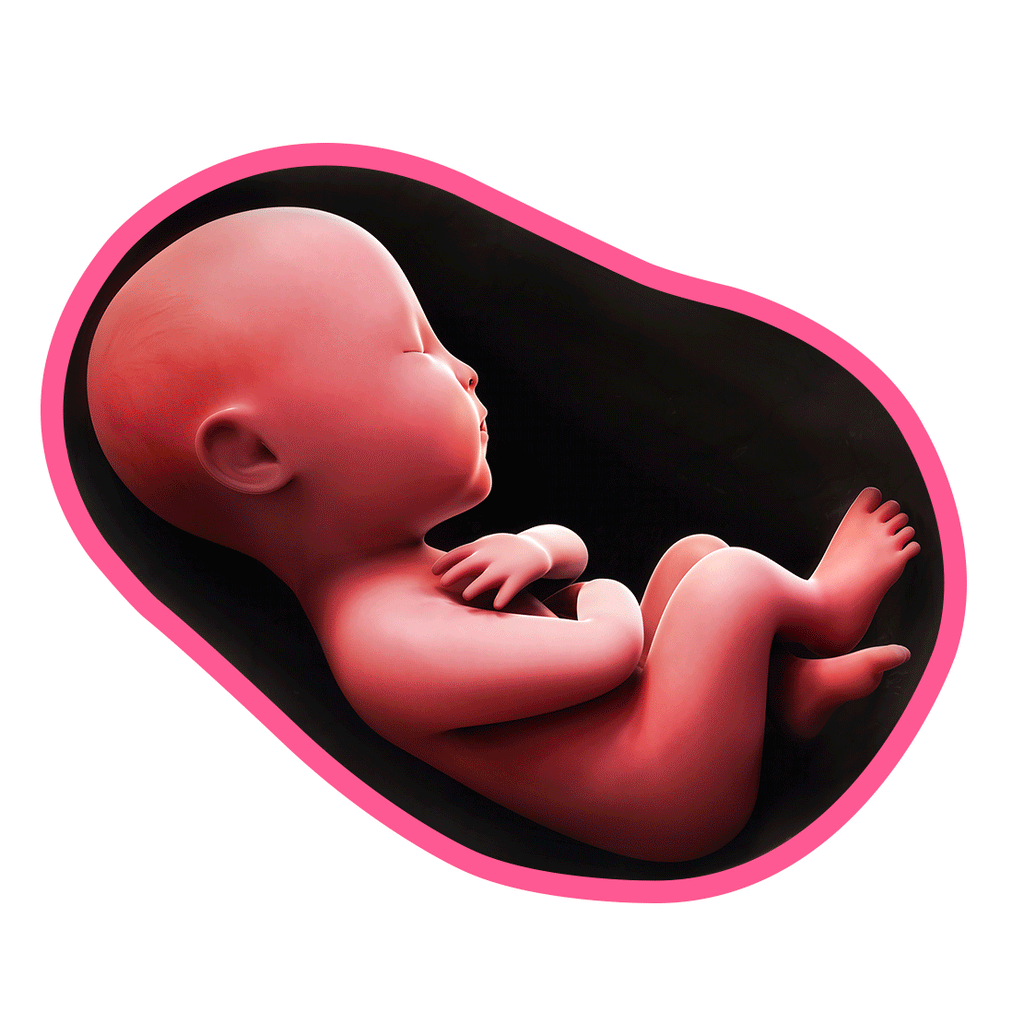 babies between 1 kg and 1.5 kg